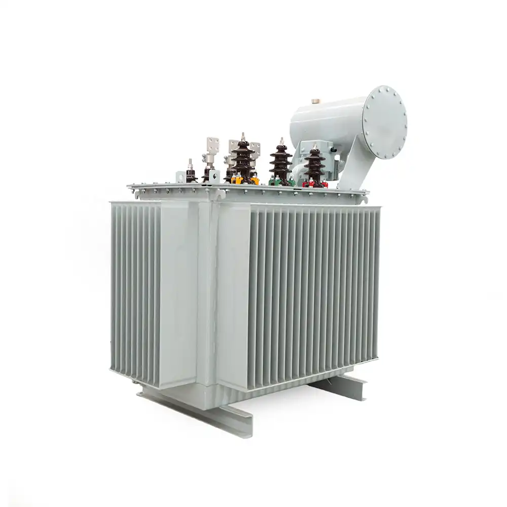oil-immersed transformers